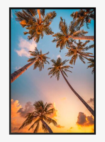 Tropical Canopy at Sunset Print