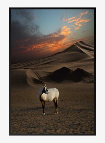 Dusk in the Dunes Print