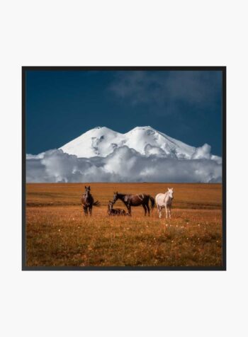 Majesty of the Plains Print