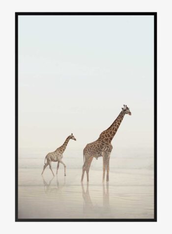 Serengeti Silhouettes at Dawn Print