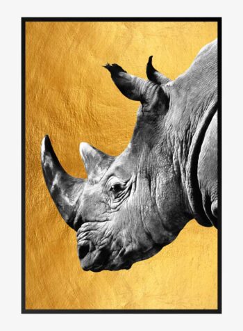 Majestic Rhino Aura Print